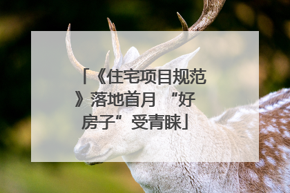 《住宅项目规范》落地首月 “好房子”受青睐