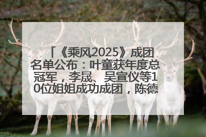 《乘风2025》成团名单公布：叶童获年度总冠军，李晟、吴宣仪等10位姐姐成功成团，陈德容获年度高光人物