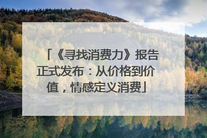 《寻找消费力》报告正式发布：从价格到价值，情感定义消费