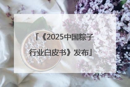 《2025中国粽子行业白皮书》发布