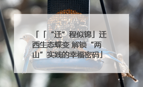 「“迁”程似锦」迁西生态蝶变 解锁“两山”实践的幸福密码