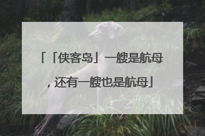 「侠客岛」一艘是航母，还有一艘也是航母