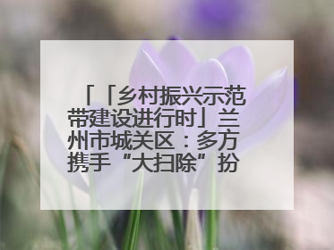 「乡村振兴示范带建设进行时」兰州市城关区：多方携手“大扫除”扮靓乡村“颜值”