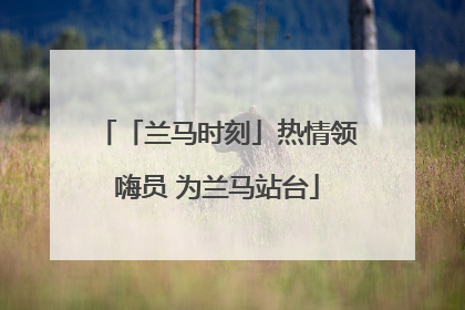 「兰马时刻」热情领嗨员 为兰马站台
