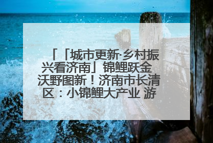 「城市更新·乡村振兴看济南」锦鲤跃金 沃野图新！济南市长清区：小锦鲤大产业 游出农旅新风景