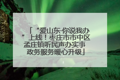 “爱山东·你说我办”上线！枣庄市市中区孟庄镇听民声办实事 政务服务暖心升级