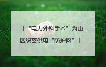 “电力外科手术”为山区织密供电“防护网”