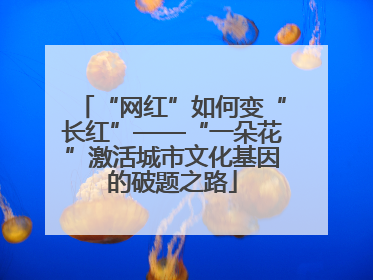 “网红”如何变“长红”——“一朵花”激活城市文化基因的破题之路