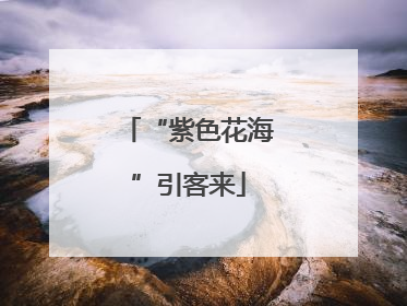 “紫色花海”引客来