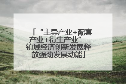 “主导产业+配套产业+衍生产业” 镇域经济创新发展释放强劲发展动能