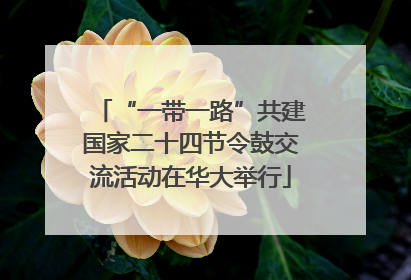“一带一路”共建国家二十四节令鼓交流活动在华大举行