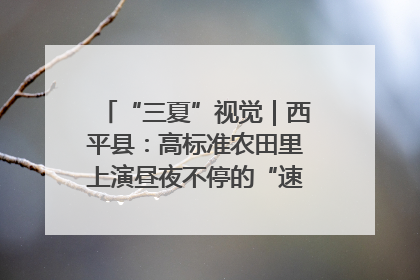 “三夏”视觉｜西平县：高标准农田里上演昼夜不停的“速度与激情”