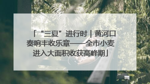 “三夏”进行时｜黄河口奏响丰收乐章——全市小麦进入大面积收获高峰期