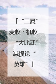 “三夏”麦收：机收“大比武” 减损论“英雄”