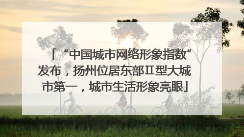 “中国城市网络形象指数”发布，扬州位居东部Ⅱ型大城市第一，城市生活形象亮眼