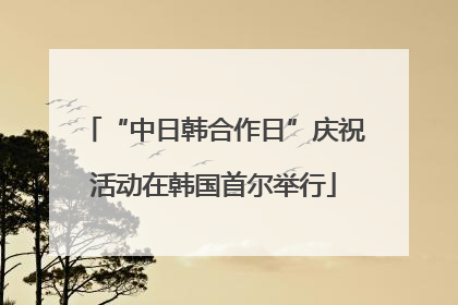 “中日韩合作日”庆祝活动在韩国首尔举行