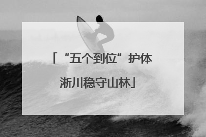 “五个到位”护体 淅川稳守山林