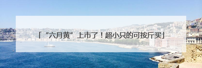 “六月黄”上市了！超小只的可按斤买