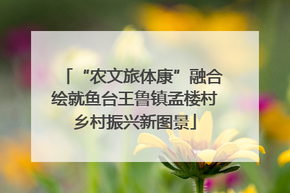 “农文旅体康”融合绘就鱼台王鲁镇孟楼村乡村振兴新图景