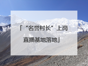 “名誉村长”上岗 直播基地落地
