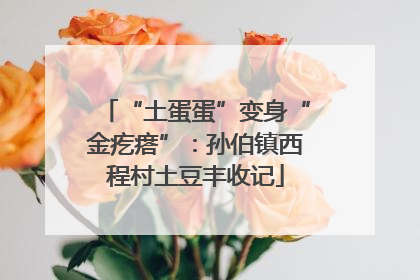 “土蛋蛋”变身“金疙瘩”：孙伯镇西程村土豆丰收记