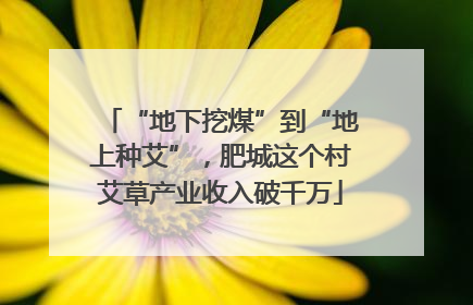 “地下挖煤”到“地上种艾”，肥城这个村艾草产业收入破千万