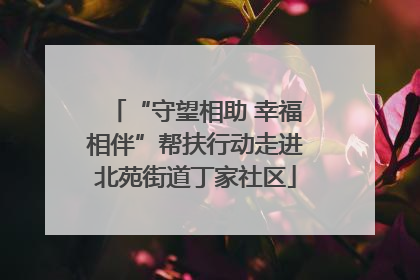 “守望相助 幸福相伴”帮扶行动走进北苑街道丁家社区