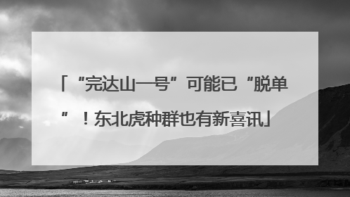 “完达山一号”可能已“脱单”！东北虎种群也有新喜讯