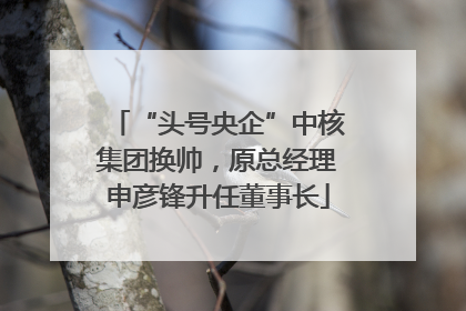“头号央企”中核集团换帅，原总经理申彦锋升任董事长