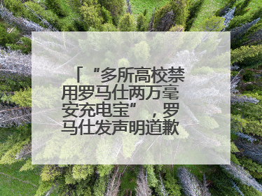 “多所高校禁用罗马仕两万毫安充电宝”，罗马仕发声明道歉：已展开核查
