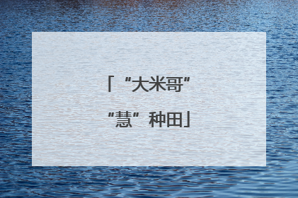 “大米哥”“慧”种田
