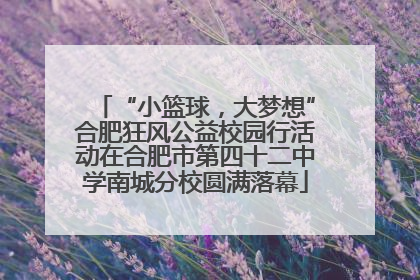 “小篮球，大梦想”合肥狂风公益校园行活动在合肥市第四十二中学南城分校圆满落幕