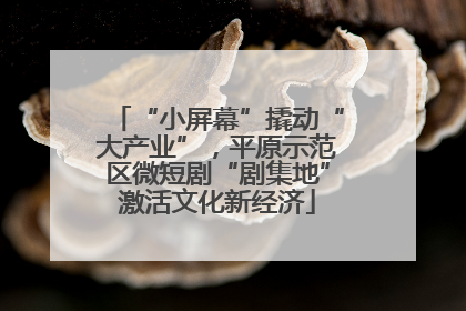 “小屏幕”撬动“大产业”，平原示范区微短剧“剧集地”激活文化新经济