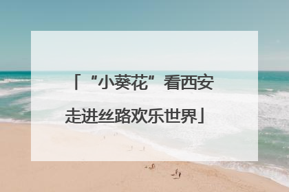 “小葵花”看西安走进丝路欢乐世界