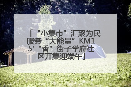 “小集市”汇聚为民服务“大能量”KM15′“香”街子学府社区开集迎端午