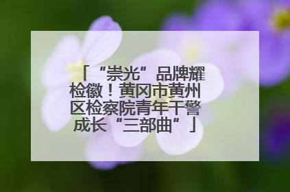 “崇光”品牌耀检徽！黄冈市黄州区检察院青年干警成长“三部曲”