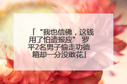 “我也信佛，这钱用了怕遭报应” 罗平2名男子偷走功德箱却一分没敢花