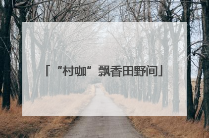“村咖”飘香田野间