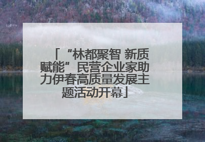 “林都聚智 新质赋能”民营企业家助力伊春高质量发展主题活动开幕