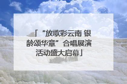 “放歌彩云南 银龄颂华章”合唱展演活动盛大启幕