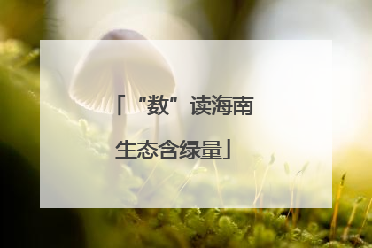 “数”读海南生态含绿量