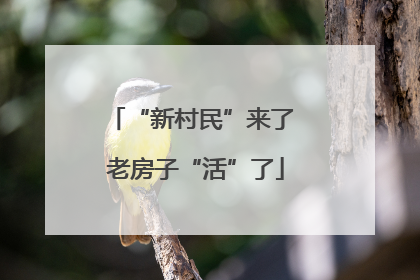 “新村民”来了 老房子“活”了