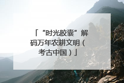 “时光胶囊”解码万年农耕文明（考古中国）