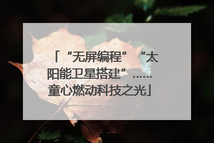 “无屏编程”“太阳能卫星搭建”……童心燃动科技之光
