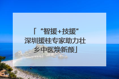 “智援+技援” 深圳援桂专家助力壮乡中医焕新颜