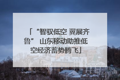 “智驭低空 翼展齐鲁” 山东移动助推低空经济蓄势腾飞