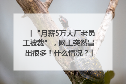 “月薪5万大厂老员工被裁”，网上突然冒出很多！什么情况？
