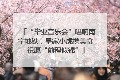 “毕业音乐会”唱响南宁地铁，皇家小虎携美食祝愿“前程似锦”