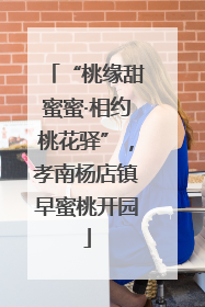 “桃缘甜蜜蜜·相约桃花驿”，孝南杨店镇早蜜桃开园