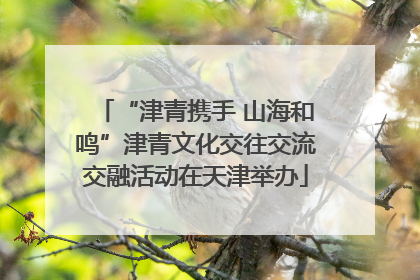 “津青携手 山海和鸣”津青文化交往交流交融活动在天津举办